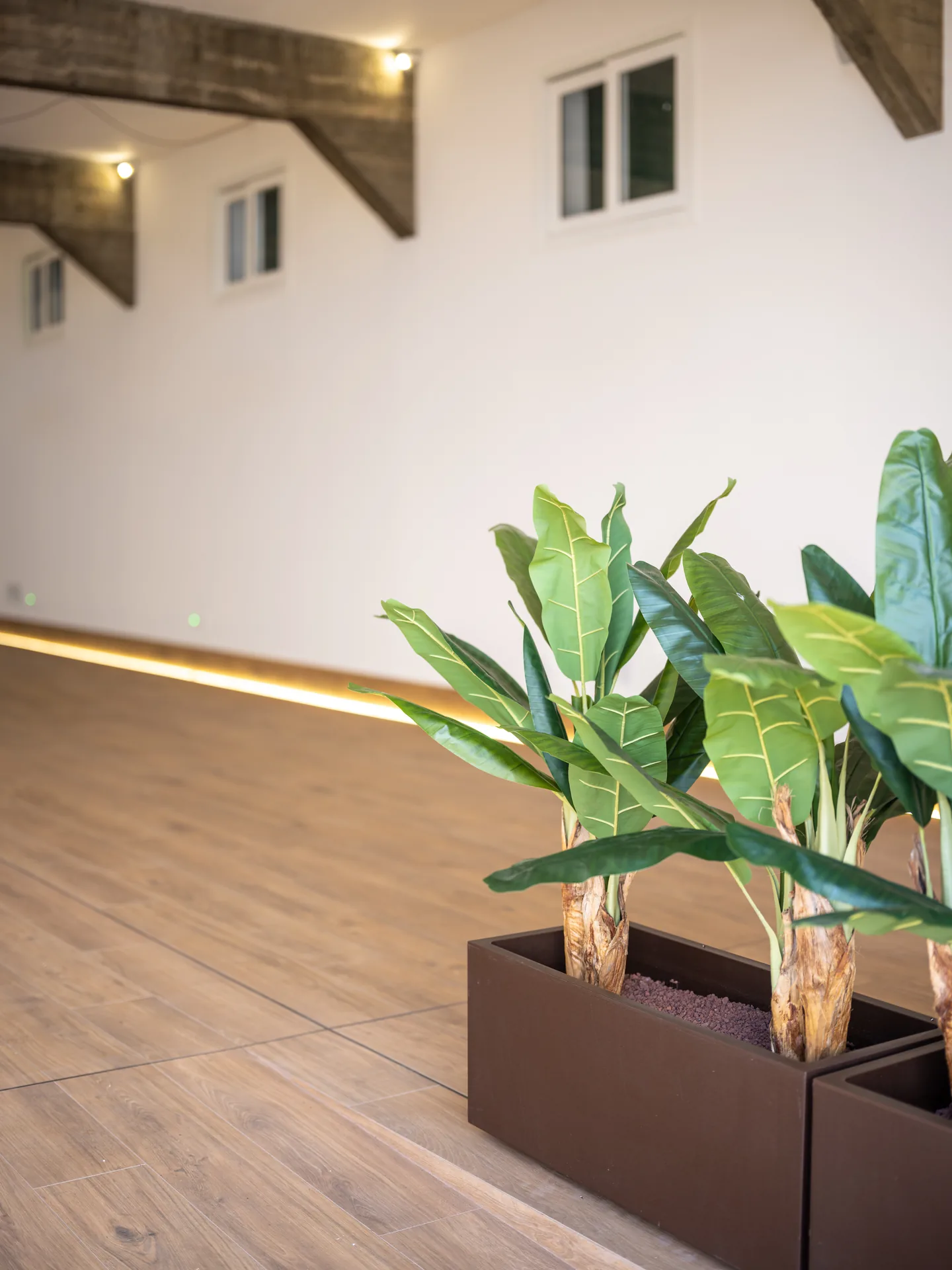 Montaje de la sala de eventos